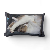 Yoga "Eu não sou tão limpador quanto costumava ser