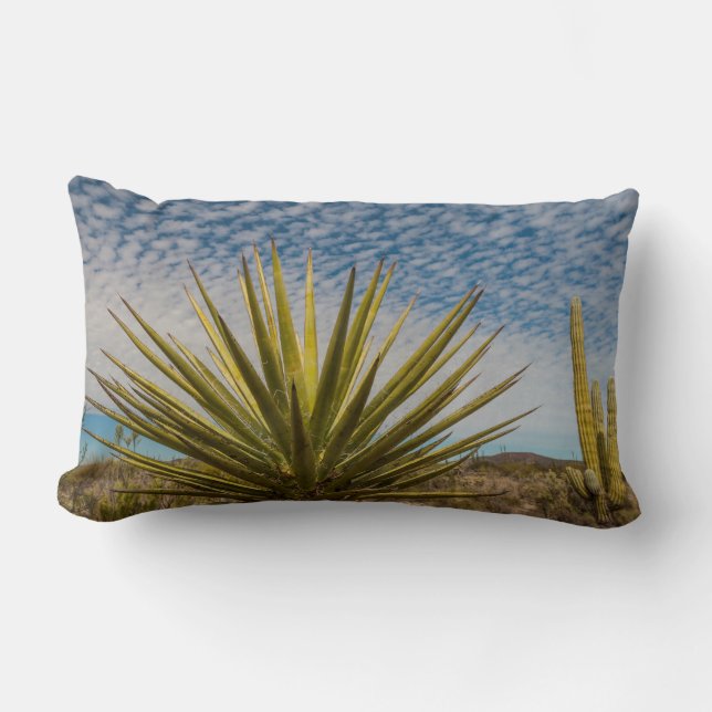 Almofada Lombar Yucca no Deserto, México (Frente)
