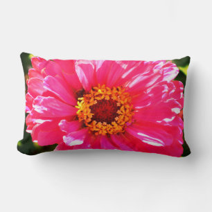 Almofada Lombar Zinnia rosa, margarida rosa, foto rosa de flor