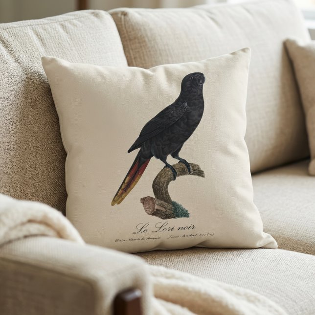 Almofada Lório-preto ou Lório-de-bico-vermelho, Chalcopsitt (Black Lory or Red-Quilled Lory, Chalcopsitta atra. Throw Pillow)