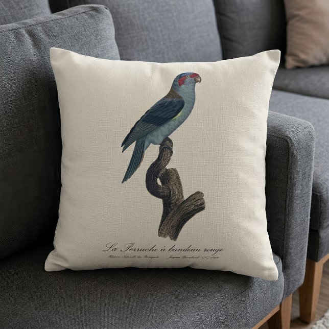 Almofada Loriqueito-de-musk, Trichoglossus concinnus (Musk Lorikeet, Trichoglossus Concinnus. Throw Pillow)