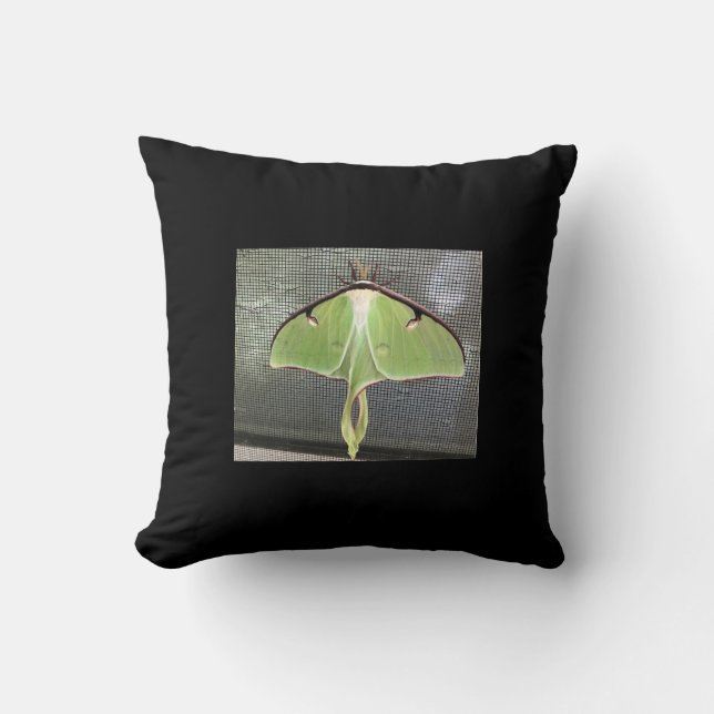 Almofada Lunar Moth (Frente)
