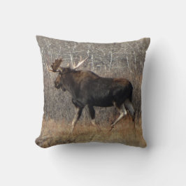 Almofada M8 Bull Moose