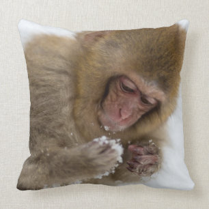 Almofada Macaco japonês da neve do Macaque   do bebê