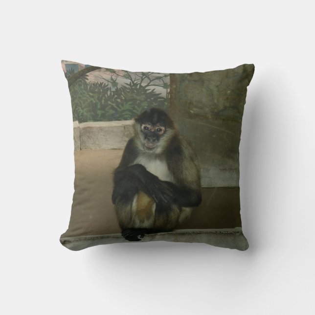 Almofada Macaco Sentado Bonito (Frente)