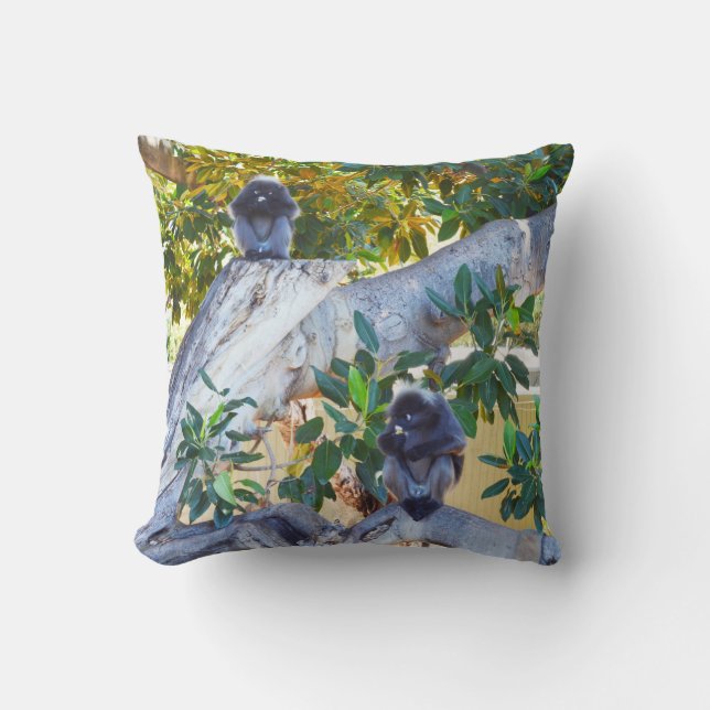 Almofada Macacos Black Langur Comendo, Cushion (Frente)