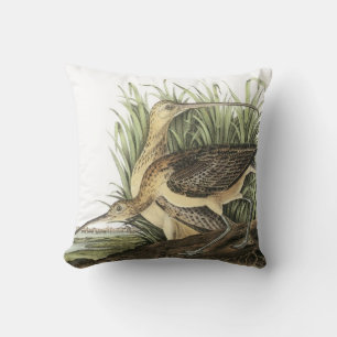 Almofada maçarico real Longo-faturado por Audubon