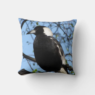 Almofada Magpie australiano