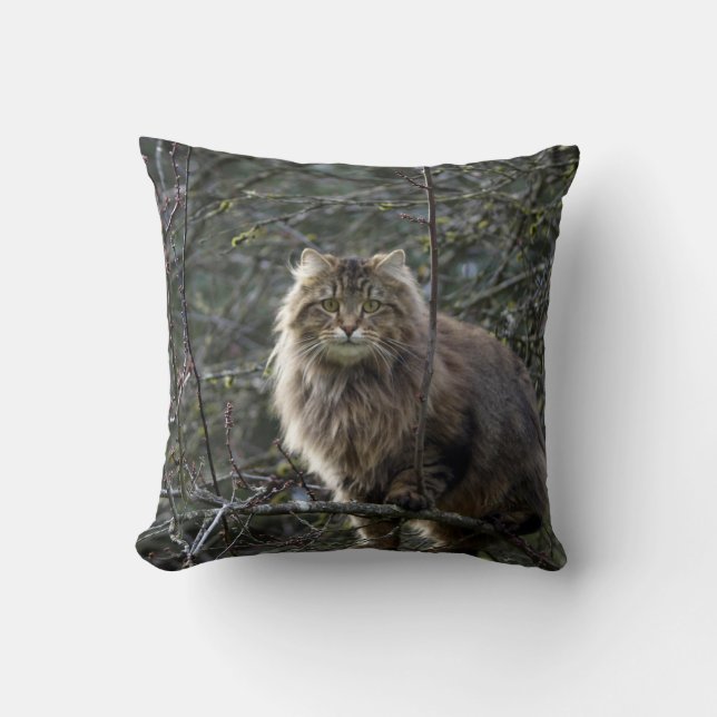 Almofada Maine Coon Comprimidos De Cabelo Longo (Frente)