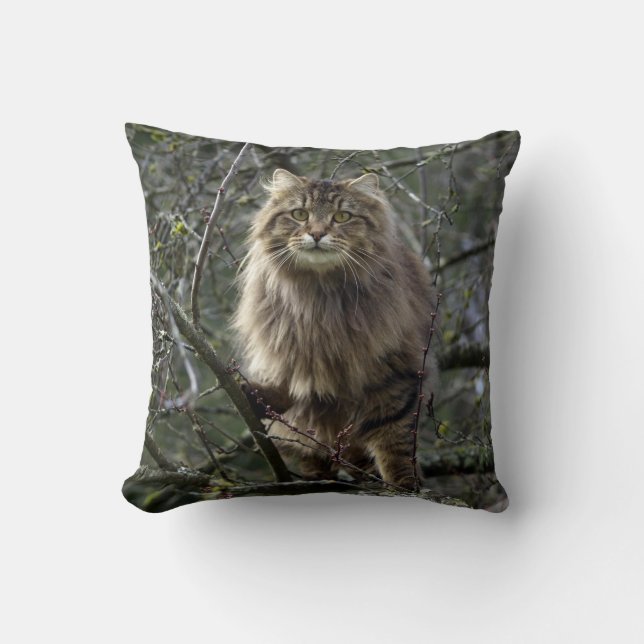 Almofada Maine Coon Comprimidos De Cabelo Longo (Frente)