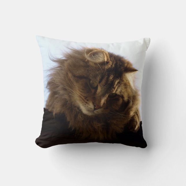 Almofada Maine Coon Tabby (Frente)