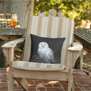 Almofada Majestic winter snowy owl