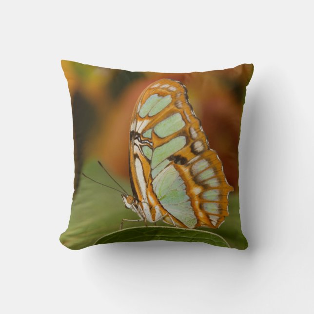 Almofada Malaquita numa folha (Frente)