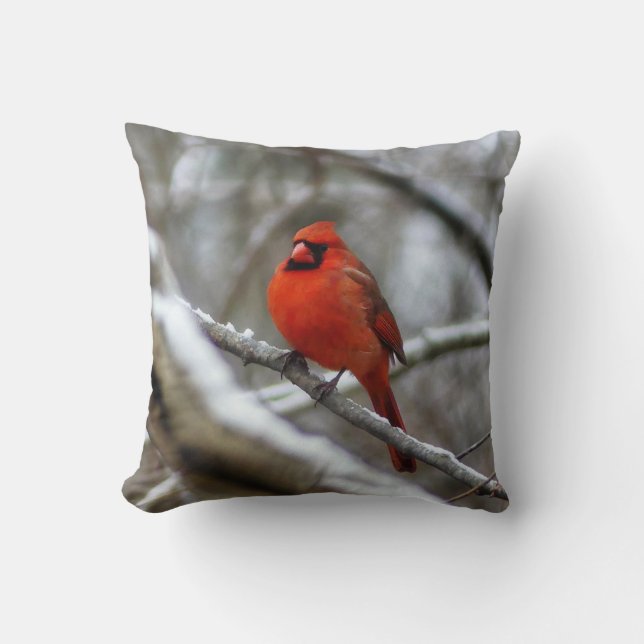 Almofada Male Cardinal (Frente)