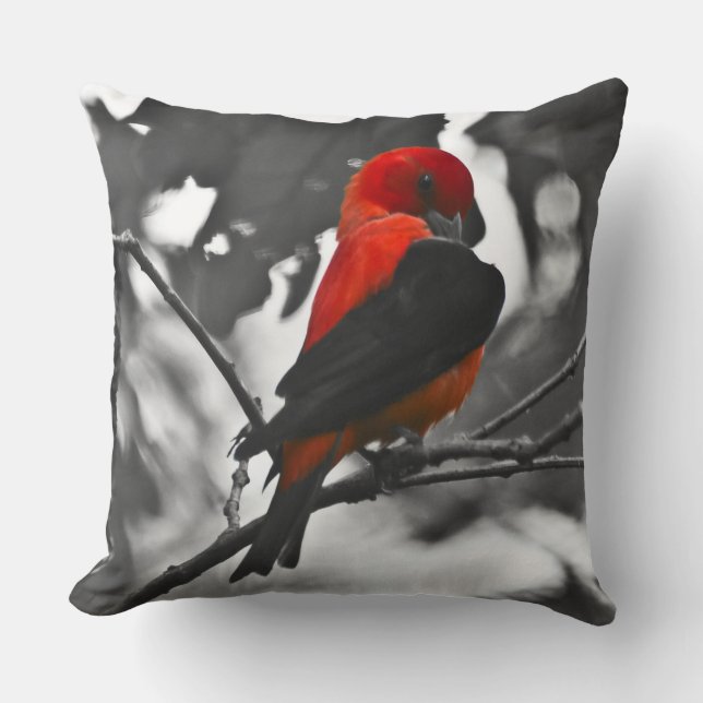 Almofada Male Scarlet Tanager (Frente)