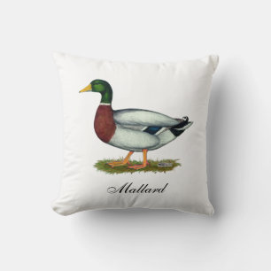 Almofada Mallard Duck Drake