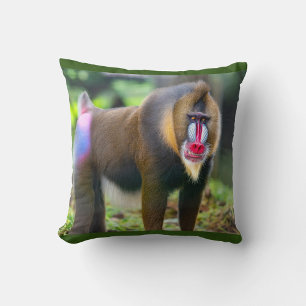 Almofada Mandrill Baboon