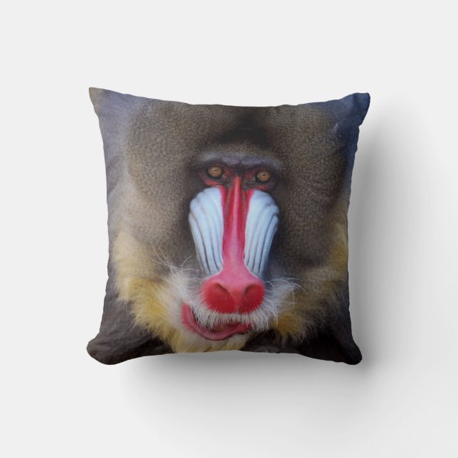 Almofada Mandrill viril (Frente)
