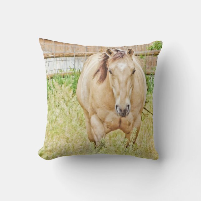 Almofada Manhã Preguiçosa (Frente)