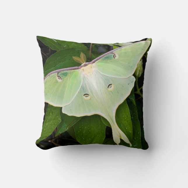 Almofada Mariposa Luna em Clematite de Carnaby (Frente)