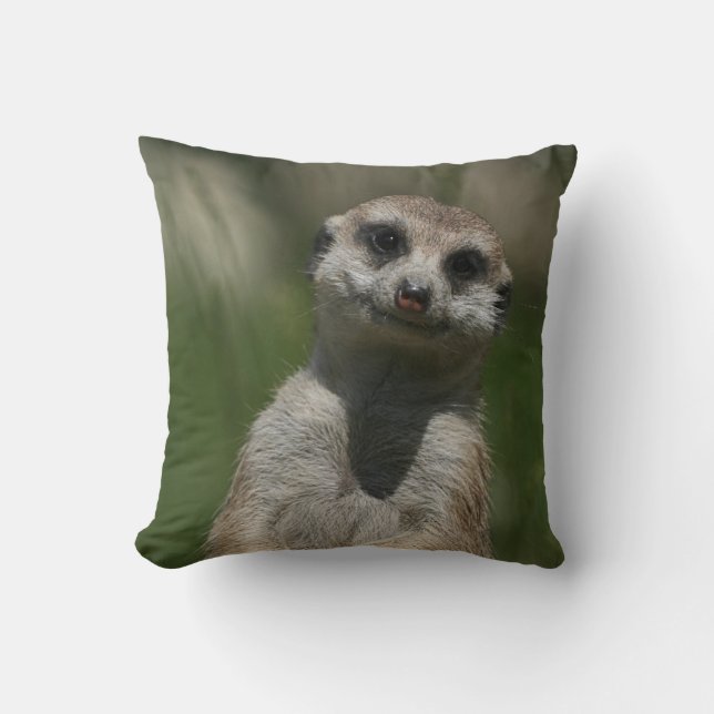 Almofada Meerkat 004 (Frente)