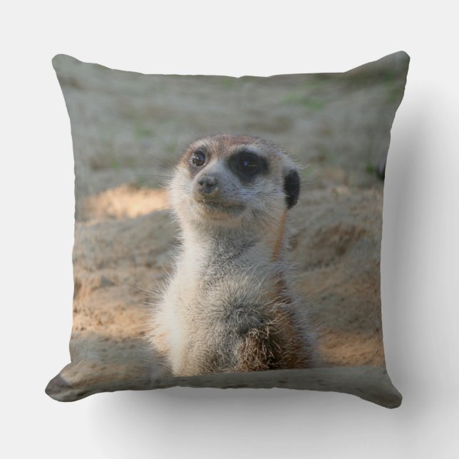 Almofada Meerkat 004 (Frente)