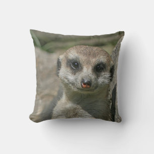 Almofada Meerkat 005