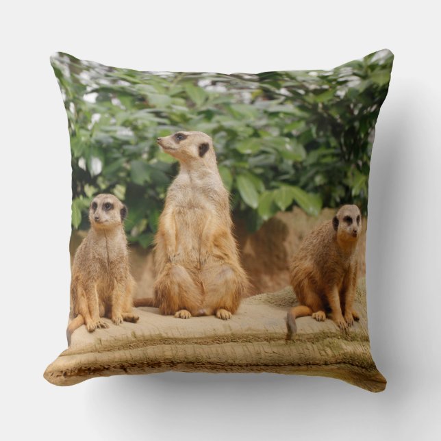 Almofada Meerkat 008 (Frente)