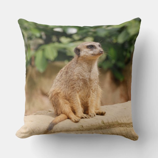 Almofada Meerkat 010 (Frente)