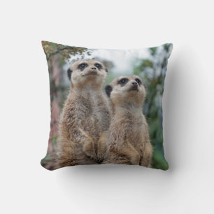 Almofada Meerkat 013