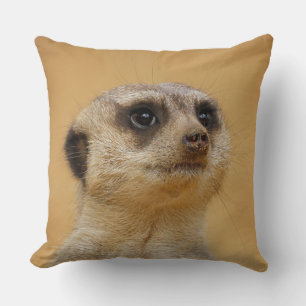 Almofada Meerkat 020