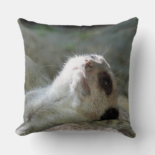Almofada Meerkat 024
