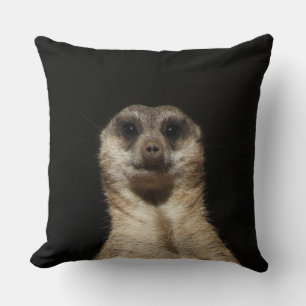Almofada Meerkat 040