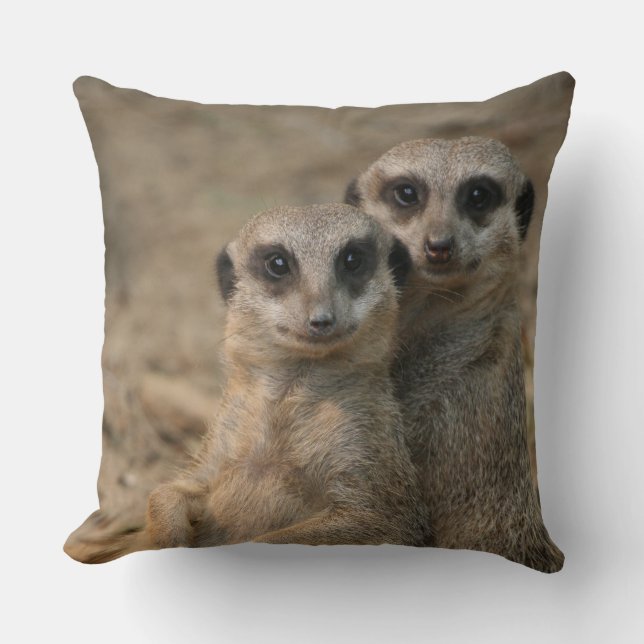Almofada Meerkat 067 (Frente)