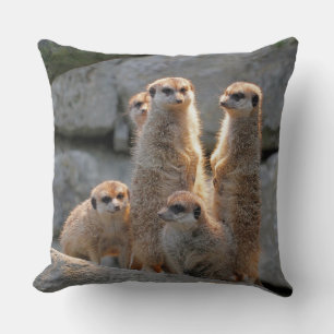 Almofada Meerkat 110