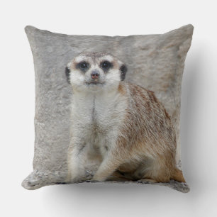 Almofada Meerkat 134