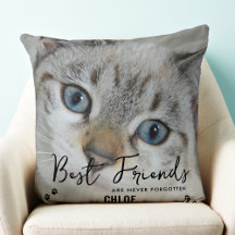 Memorial do Gato de Fotografias Nunca Esquecido Pe