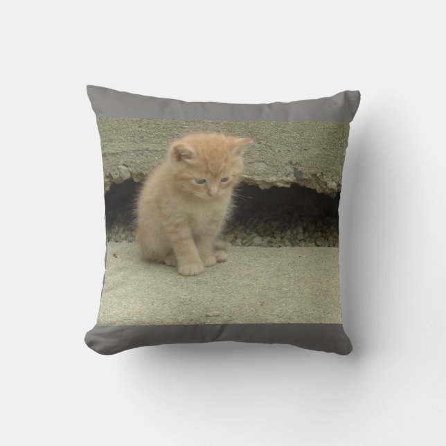 Almofada Meu adorável gatinho laranja tabby (Frente)