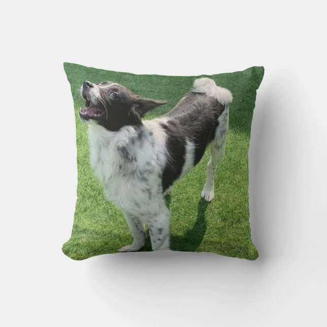 Almofada Meu cachorro (Frente)