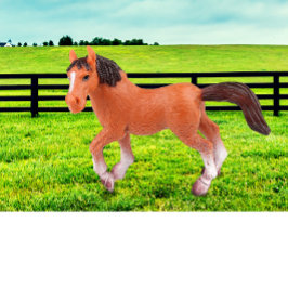 Almofada Meu Cavalo Favorito