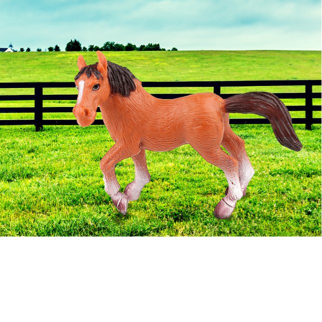 Almofada Meu Cavalo Favorito (Criador carregado)