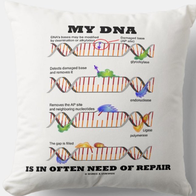Almofada Meu DNA Está Frequentemente Necessitado De Reparo  (Throw pillow for anyone who has DNA that is in often need of repair)
