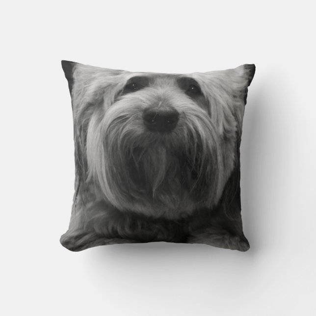 Almofada Meu Pequeno Cachorro De Pet (Frente)