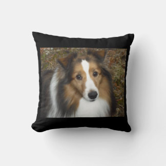 Almofada Meu Travesseiro Shane amoroso