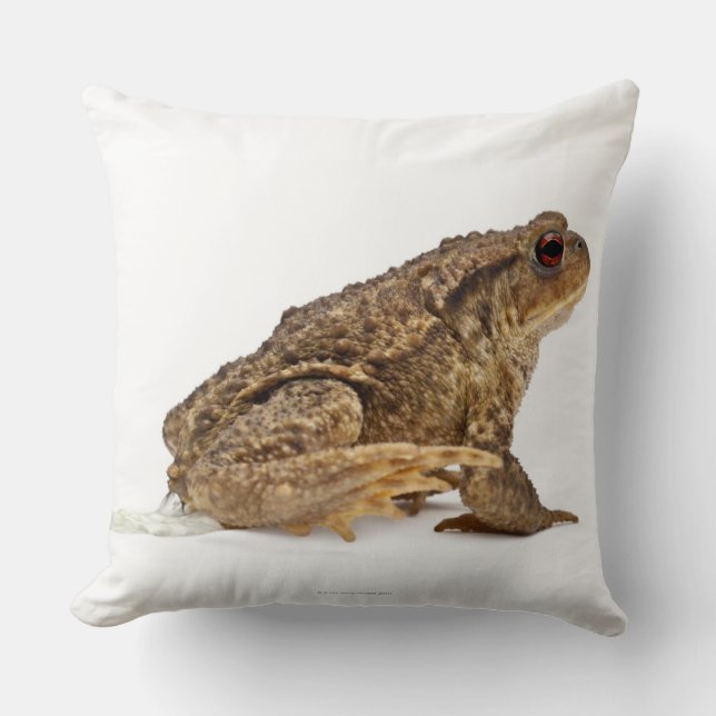 Almofada Mijar do sapo comum ou do sapo europeu (bufo de (Frente)