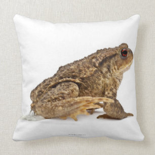 Almofada Mijar do sapo comum ou do sapo europeu (bufo de
