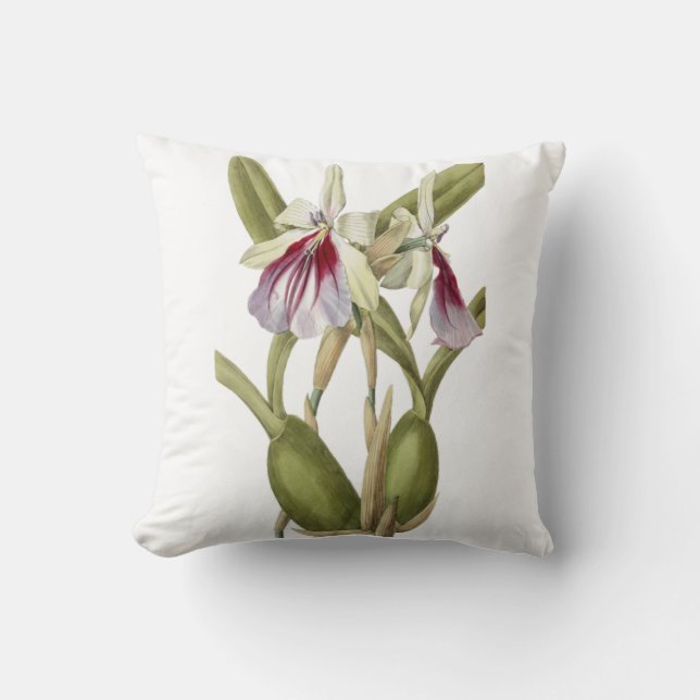 Almofada Miltonia Spectabilis travesseiro decorativo botâni (Frente)