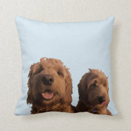 Almofada Mini Goldendoodles