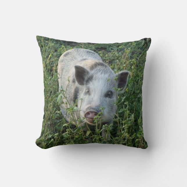 Almofada Mini Juliana Pet Pig (Frente)