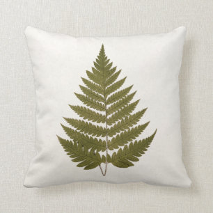 Almofada Modelo da folha da samambaia da verde azeitona dos